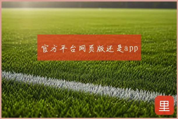 官方平台网页版还是app